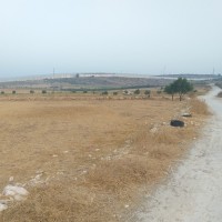Al Kom to Beit Ula