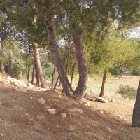 Al Kom to Beit Ula