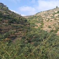 Jabaa to Battir