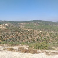 Jabaa to Battir
