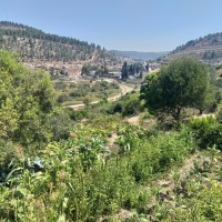 Battir to Artas