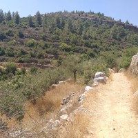Battir to Artas
