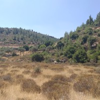 Battir to Artas