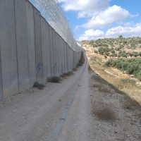 Beit Mirsim to Al Kom