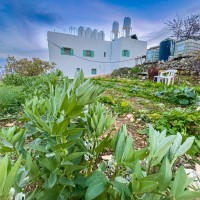 Taybeh Guest house