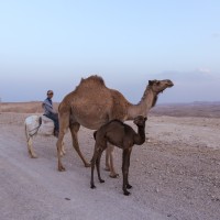 Tuqu’ To Ar-Rashayida