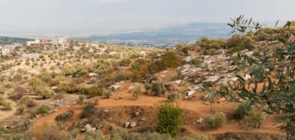 رمانة الى برقين