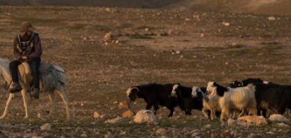 الرشايدة الى بني نعيم