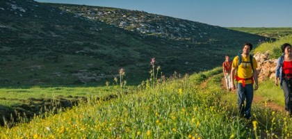 الخليل الى دورا