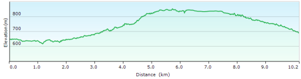 Elevation profile